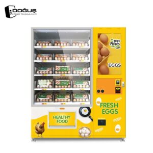 DGS-CEL-11L(32SP) Çiftlik Yumurta Otomatı satılık taze yumurta otomatı